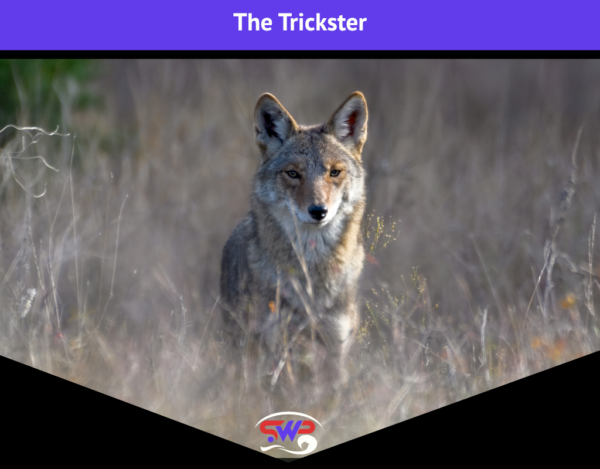 SWP-The Trickster image
